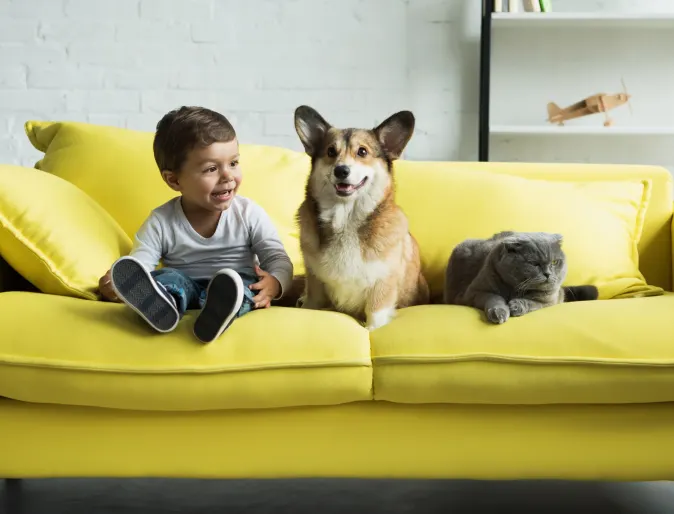 A child, cat, and dog sitting on a green couch